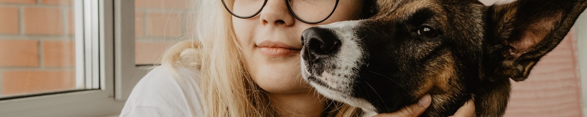 How to Register Your Dog as an Emotional Support Animal How to Register Your Dog as an Emotional Support Animal